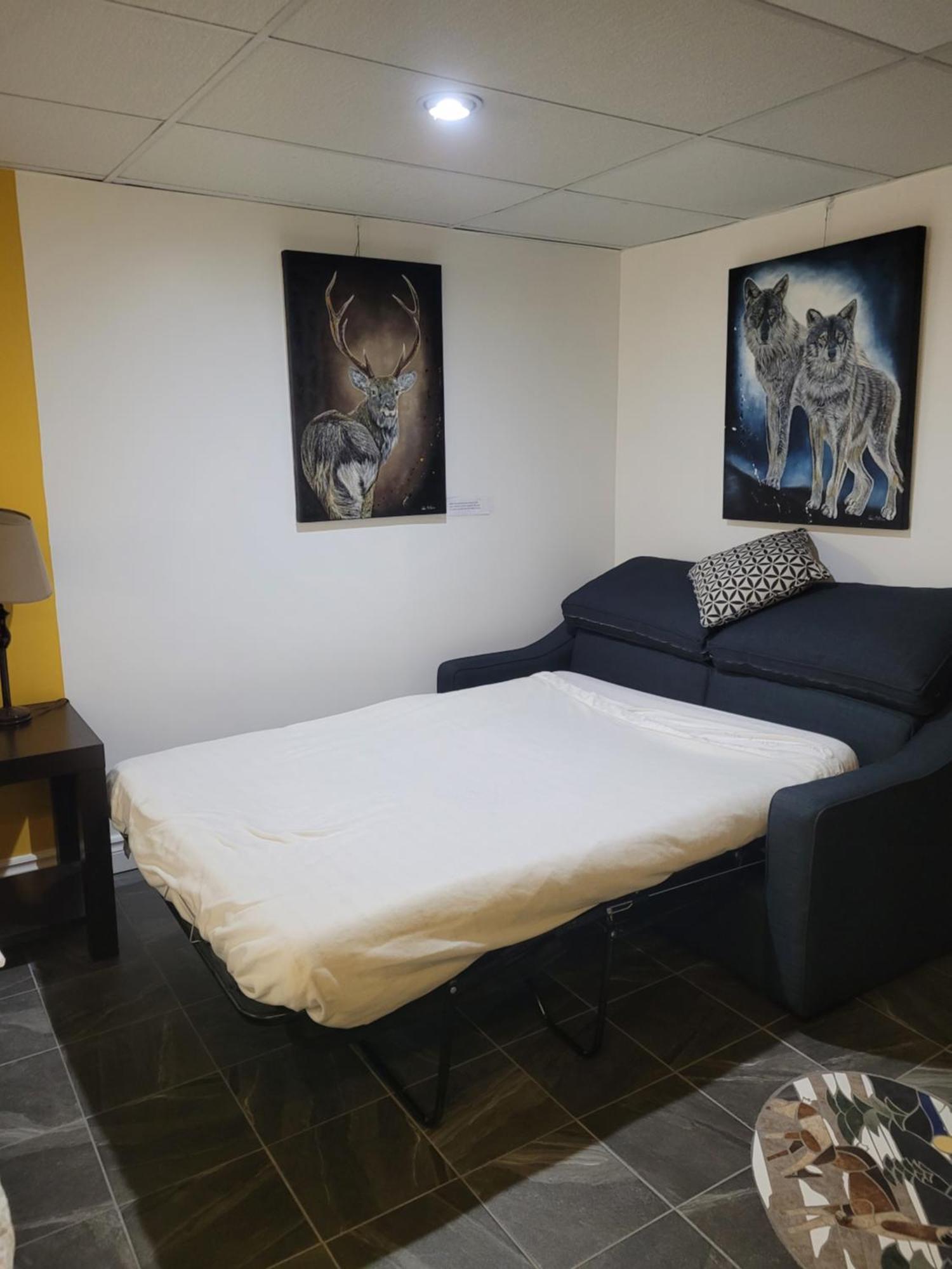 Saint-Félicien Studio Bellevue מראה חיצוני תמונה