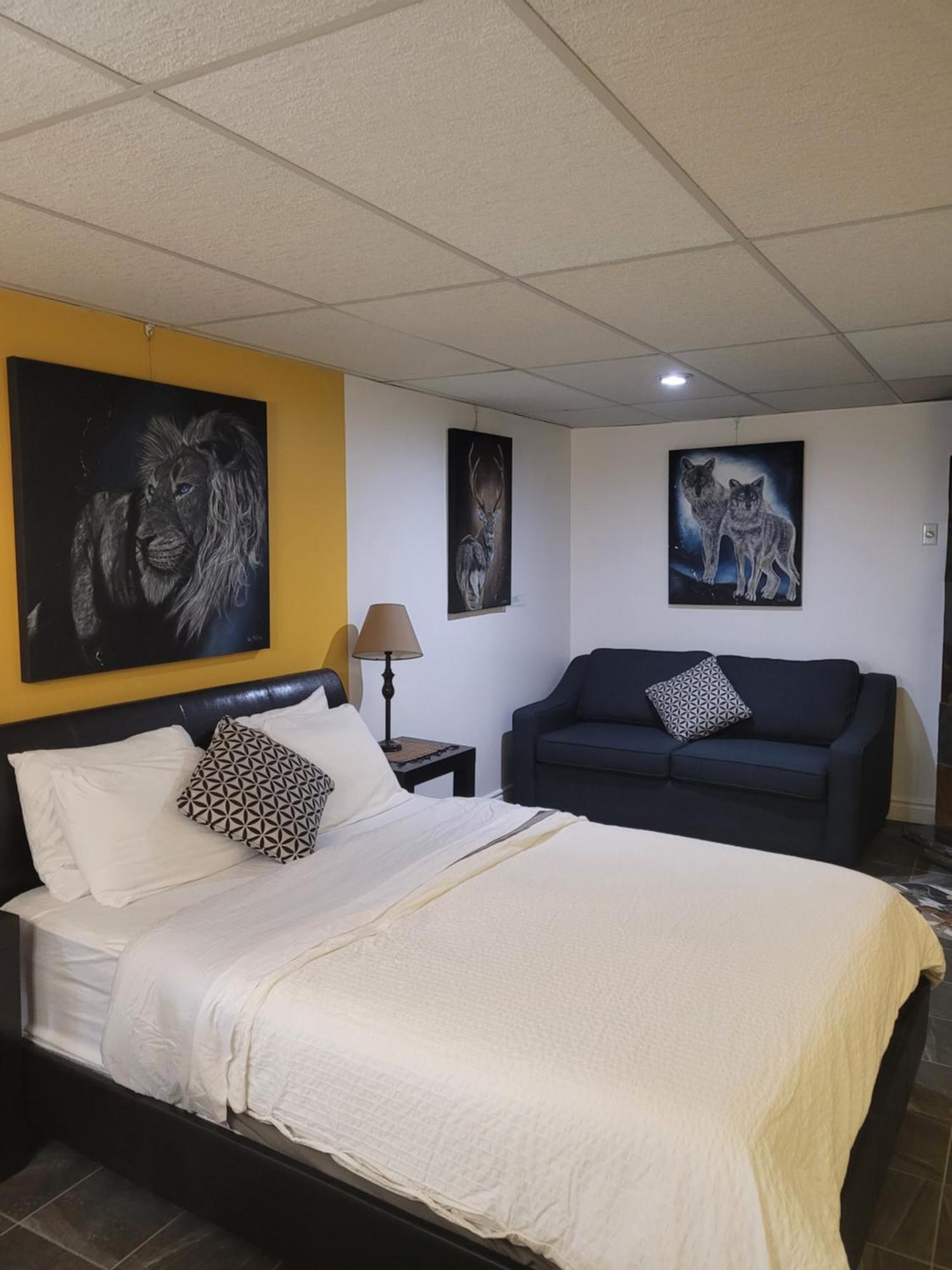 Saint-Félicien Studio Bellevue מראה חיצוני תמונה